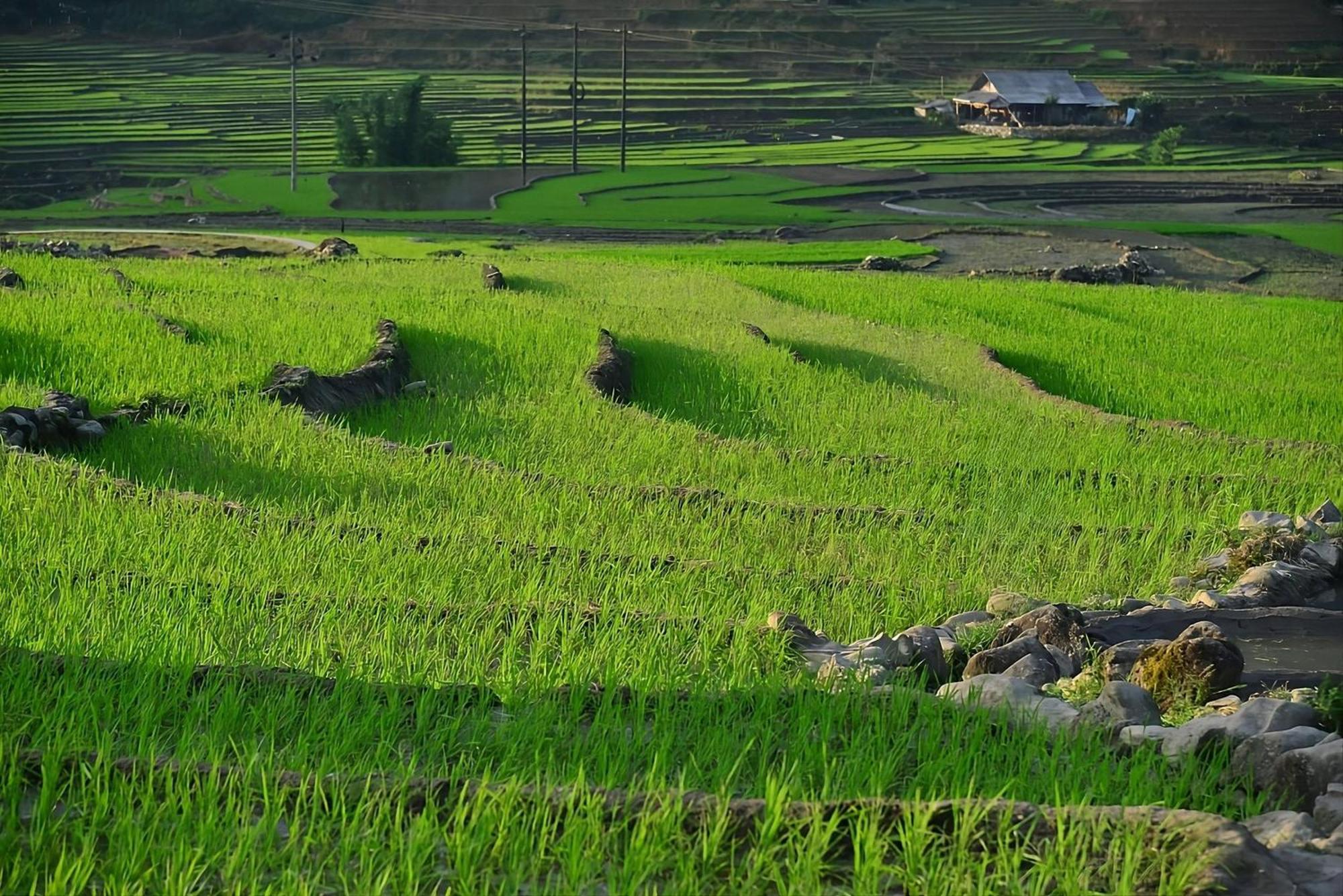 Sapa Mountain Resort Affiliated By Melia Extérieur photo